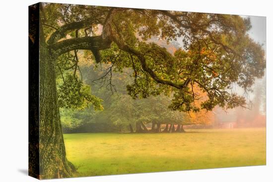 Foliage-Viviane Fedieu Daniel-Premier Image Canvas