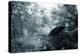 Foliage-Mark Ashkenazi-Premier Image Canvas