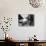 Folk Singer Joan Baez on the Beach with Guitar Near Her Home-Ralph Crane-Premier Image Canvas displayed on a wall