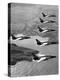 Folland Gnat Was Introduced to the Press at the RAF Valley Station-null-Premier Image Canvas