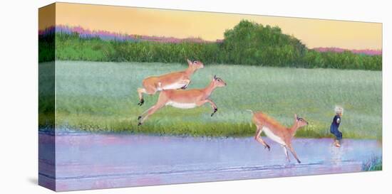 Follow The Leader-Nancy Tillman-Stretched Canvas