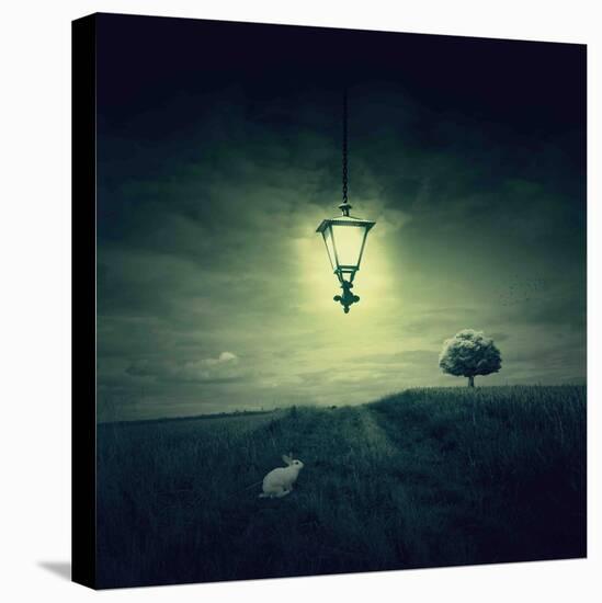 Follow the White Rabbit-Philippe Sainte-Laudy-Premier Image Canvas