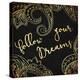 Follow Your Dreams-Jace Grey-Stretched Canvas