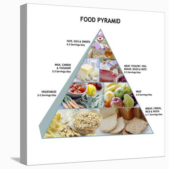 Food Pyramid-David Munns-Premier Image Canvas