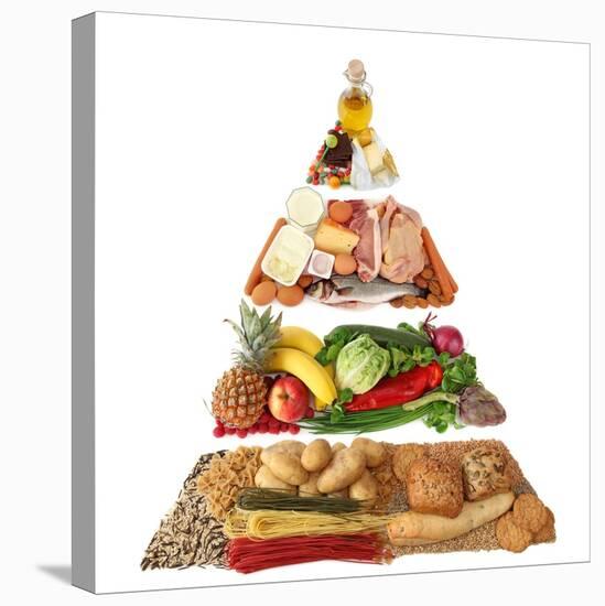 Food Pyramid-egal-Stretched Canvas