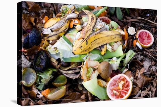 Food Waste on Compost Heap-Mark Williamson-Premier Image Canvas