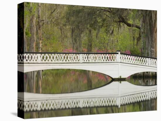 Foot Bridge with Azaleas and Spanish Moss, Magnolia Plantation, Charleston, South Carolina, USA-Corey Hilz-Premier Image Canvas