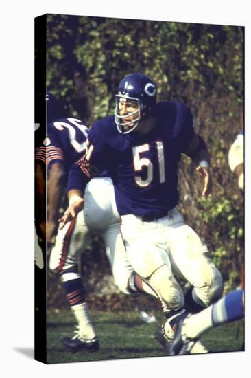 Football: Chicago Bears Dick Butkus No.51 in Action Vs Detroit Lions-null-Premier Image Canvas