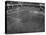 Football Final Between England and Denmark-null-Premier Image Canvas