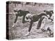 Football Players, Early 1900S-Marvin Boland-Premier Image Canvas