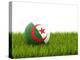 Football with Flag of Algeria-Mikhail Mishchenko-Stretched Canvas