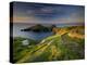 Footpath Along the Rumps, Pentire Point, Near Polzeath, Cornwall, UK-Ross Hoddinott-Premier Image Canvas