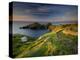 Footpath Along the Rumps, Pentire Point, Near Polzeath, Cornwall, UK-Ross Hoddinott-Premier Image Canvas