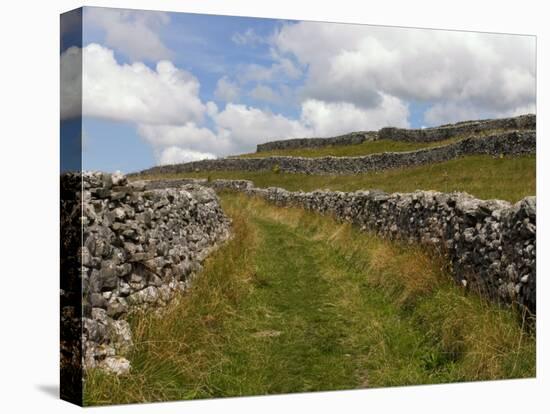 Footpath on the Dales Way, Grassington, Yorkshire Dales National Park, North Yorkshire, England, UK-White Gary-Premier Image Canvas