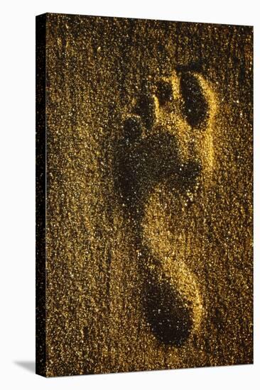 Footprint In Sand-Brad Lewis-Premier Image Canvas