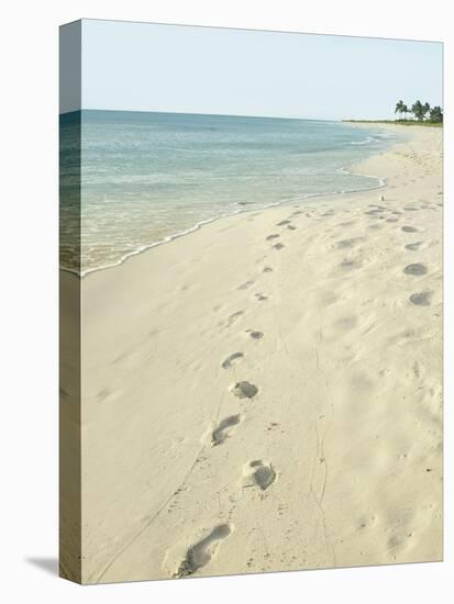 Footprints in Sand at Grace Bay Beach, Providenciales, Turks and Caicos Islands, West Indies-Kim Walker-Premier Image Canvas