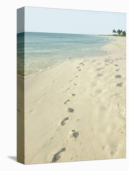 Footprints in Sand at Grace Bay Beach, Providenciales, Turks and Caicos Islands, West Indies-Kim Walker-Premier Image Canvas