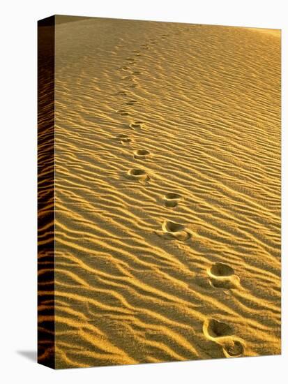 Footprints in Sand Dunes-Owaki - Kulla-Premier Image Canvas