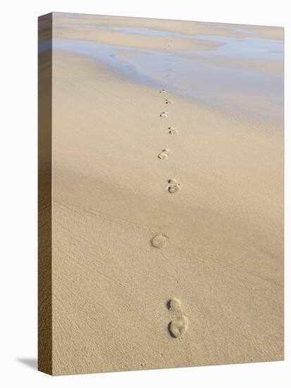 Footprints In Sand-Adrian Bicker-Premier Image Canvas