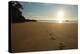 Footprints in the sand at sunrise, Mosquito Bay, Abel Tasman NP, Nelson Region, South Island-David Wall-Premier Image Canvas