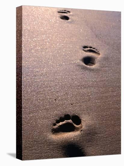 Footprints in the Sand of Eco Beach, South of Broome, Broome, Australia-Trevor Creighton-Premier Image Canvas