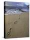 Footprints in the Sand, Turtle Bay Resort Beach, Northshore, Oahu, Hawaii, USA-Darrell Gulin-Premier Image Canvas