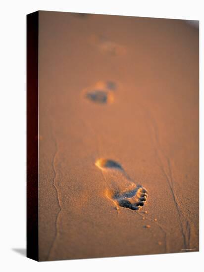 Footprints in the Sand-Jon Arnold-Premier Image Canvas