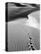 Footprints on Desert Dunes-Bettmann-Premier Image Canvas