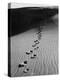 Footprints on Sand Dunes of North Carolina Beach-Fritz Goro-Premier Image Canvas