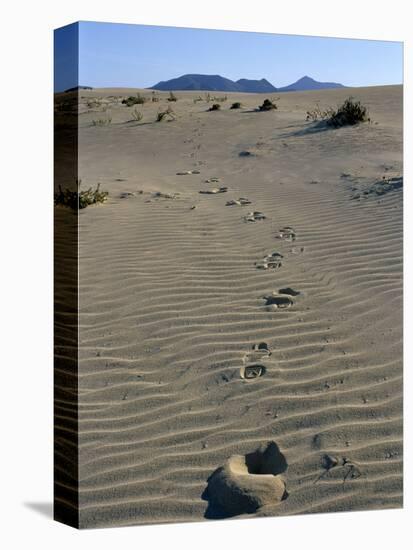 Footprints Through Sand Dunes, Near Corralejo, Fuerteventura, Canary Islands, Spain, Europe-Stuart Black-Premier Image Canvas