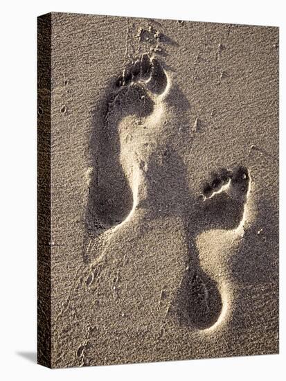 Footprints-Bruno Abarco-Premier Image Canvas