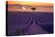 For the Love of Lavender-Lee Sie-Premier Image Canvas