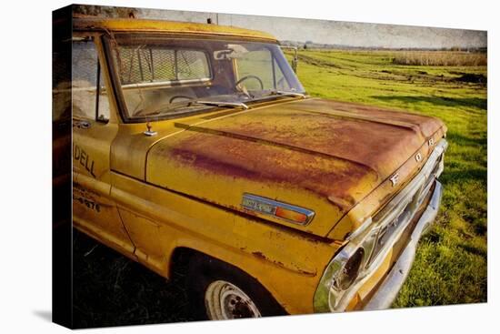 Ford 250-Jessica Rogers-Premier Image Canvas