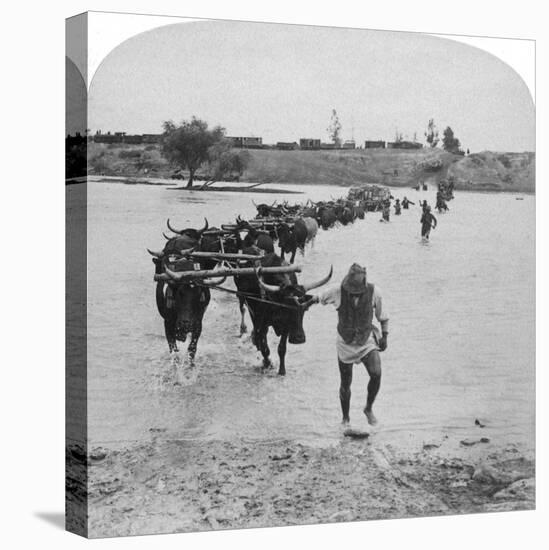 Fording the Modder River, Boer War, South Africa, 15th February 1901-Underwood & Underwood-Premier Image Canvas