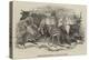 Foreign Animals Imported for the Earl of Derby-null-Premier Image Canvas
