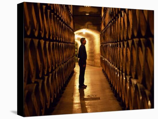 Foreman of Works Inspects Barrels of Rioja Wine in the Underground Cellars at Muga Winery-John Warburton-lee-Premier Image Canvas