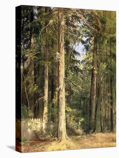 Forest, 1892-Ivan Ivanovitch Shishkin-Premier Image Canvas