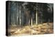 Forest, 1898-Ivan Ivanovitch Shishkin-Premier Image Canvas