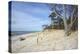 Forest and Dunes on the Western Beach of Darss Peninsula-Uwe Steffens-Premier Image Canvas