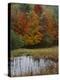 Forest and Pond in Autumn, North Landgrove, Vermont, USA-Scott T^ Smith-Premier Image Canvas