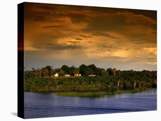 Forest at Sunset, Brazil-Wayne Walton-Premier Image Canvas