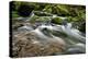 Forest brook, Schiessendumpel, Mullerthal, Luxembourg, Europe-Hans-Peter Merten-Premier Image Canvas