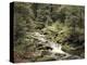 Forest, Brook, Summer-Thonig-Premier Image Canvas