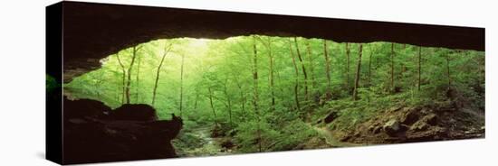 Forest, Cobb Cave, Lost Valley, Ozarks, Arkansas, USA-null-Premier Image Canvas