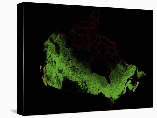 Forest Cover Of Canada-Grasshopper Geography-Premier Image Canvas