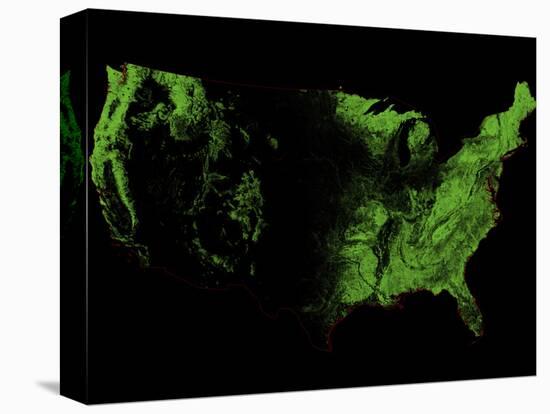 Forest Cover of the US-Grasshopper Geography-Premier Image Canvas
