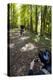 Forest Cycling-Charles Bowman-Premier Image Canvas