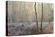 Forest Dawn-David Baker-Premier Image Canvas