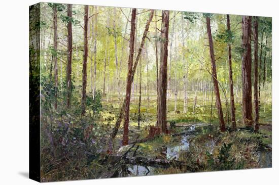 Forest Edge-Robert Moore-Stretched Canvas