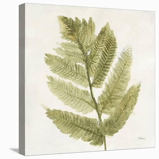 Forest Ferns I-Albena Hristova-Stretched Canvas